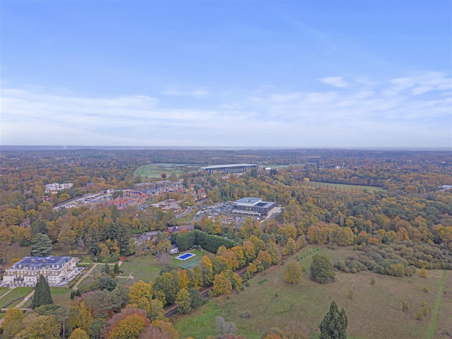 Prince Albert Drive, Ascot